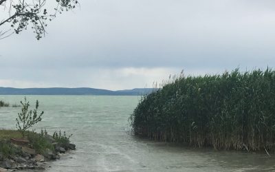 A 2020 -as Csámborgó táborunk helyszíne Balatonszárszó